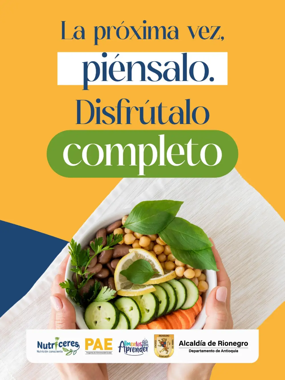 Conoce por qué el complemento alimentario es fundamental para la energía, la concentración y el bienestar de los estudiantes. Aprovecharlo completo hace la diferencia.